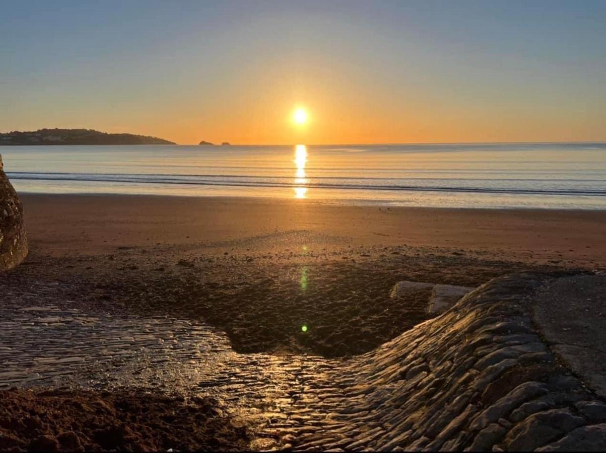 Pink House ,Opposite Beach ,Sleeps 6 , 2 Bedroom Ground Floor Self Contained Garden Flat , Private Entrance , Kitchen , Guaranteed Parking ,Wifi , Movies ,Bathroom ,Fridge , Microwave ,Bedroom 1, Double Bed & 2 Single Beds ,Bedroom 2 , Double Bed Paignton Buitenkant foto